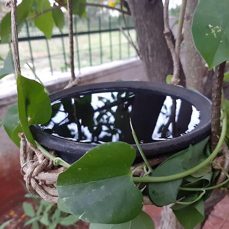 Agsara Home Stay Κοϊμπατόρε Εξωτερικό φωτογραφία